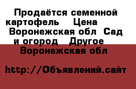 Продаётся семенной картофель  › Цена ­ 300 - Воронежская обл. Сад и огород » Другое   . Воронежская обл.